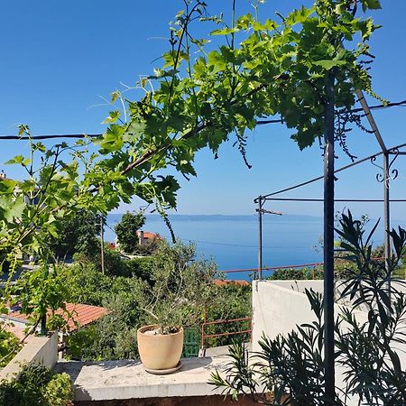 Mala Cele Apartman Podgora Szoba fotó