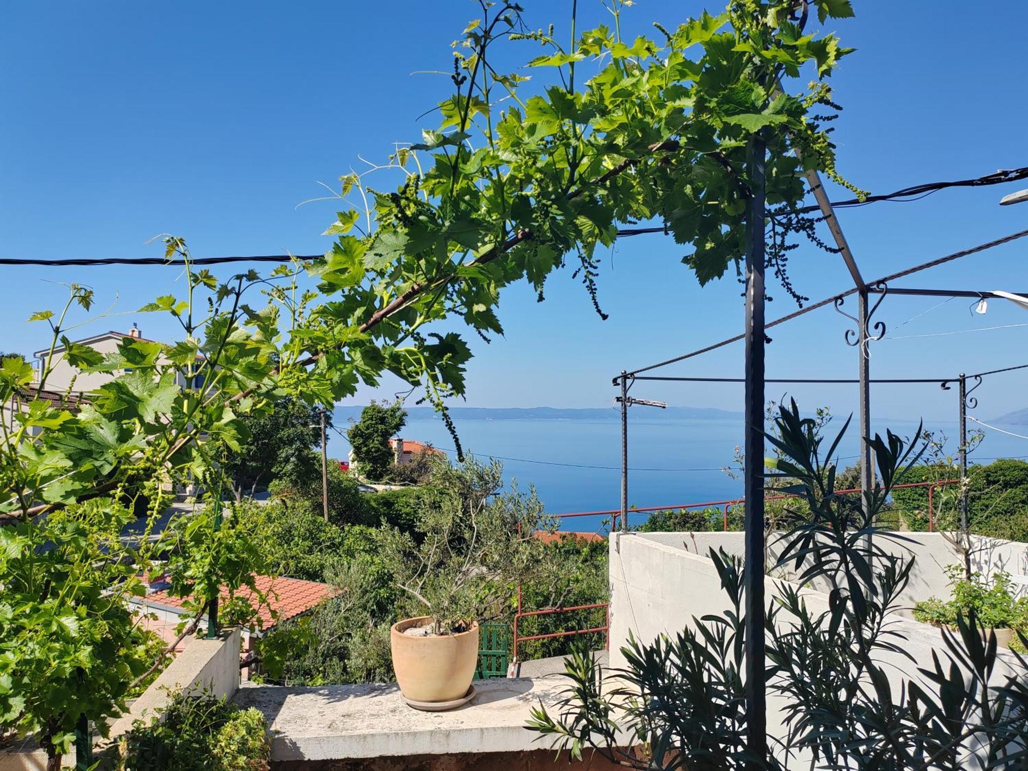 Mala Cele Apartman Podgora Szoba fotó